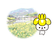 なんなんちゃんの画像