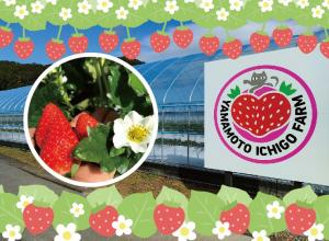 いちご狩りあたま