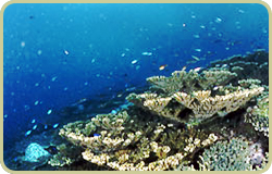 海中公園・鹿島