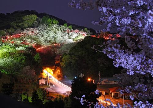 夜桜