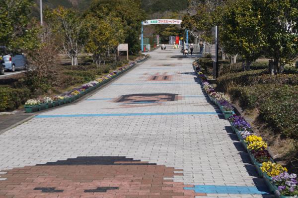 花壇4