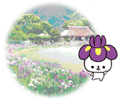 花菖蒲の帽子なんなんちゃん