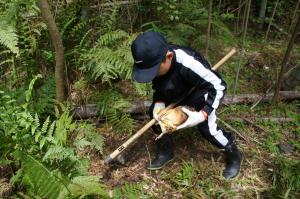 たけのこ堀り体験