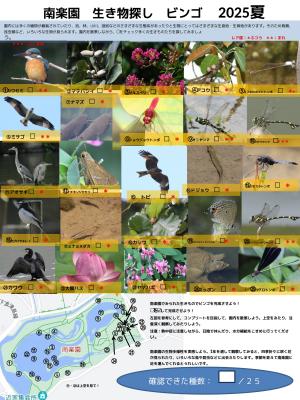 南楽園生き物ビンゴ2025