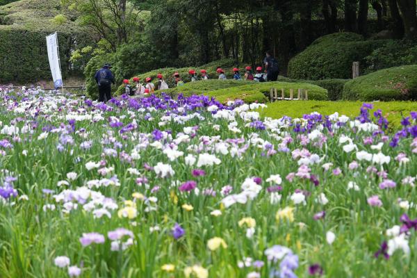 花の道未来へ