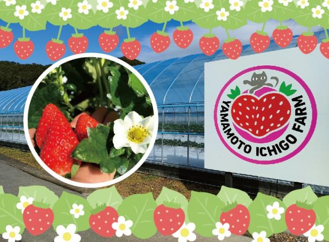 いちご狩りあたま