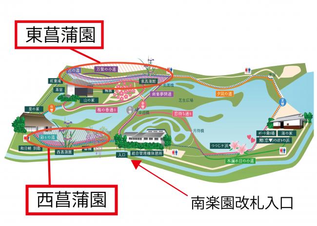 南楽園菖蒲
